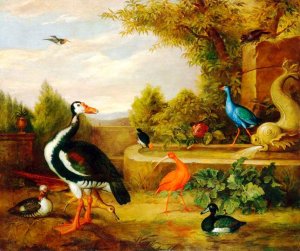 Various Types of Birds with a Kingfisher and a Fountain