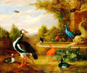 Various Types of Birds with a Kingfisher and a Fountain by Tobias Stranover - Oil Painting Reproduction