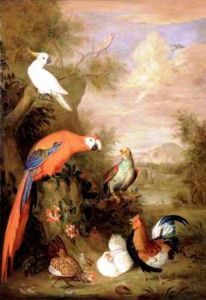 Various Types of Birds with a Parrot Oil painting by Tobias Stranover