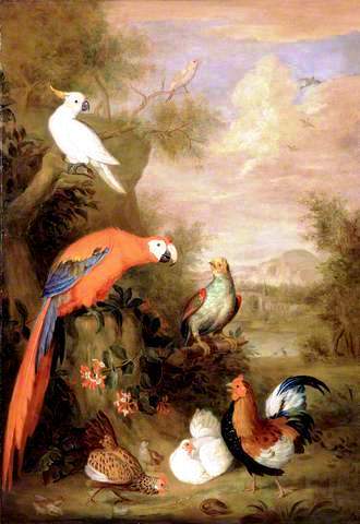 Various Types of Birds with a Parrot by Tobias Stranover - Hand-Painted Oil Painting Reproduction