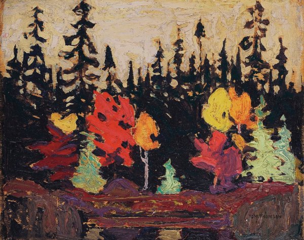 Main Product Photo of Black Spruce and Maple  Painting by Tom Thomson