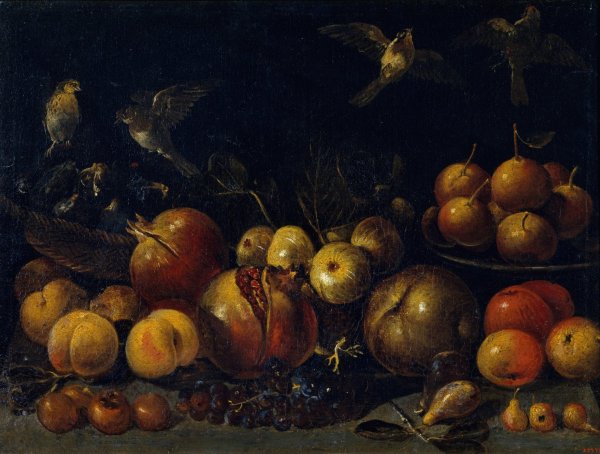 Still Life with Pomegranates, Apples, Pears, Grapes, Figs and Birds by Tommaso Realfonso - Hand-Painted Oil Painting Reproduction