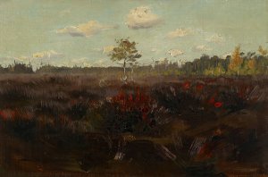 Bog in Lapland by Torsten Wasastjerna Oil Painting