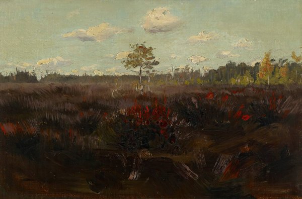 Main Product Photo of Bog in Lapland  Painting by Torsten Wasastjerna