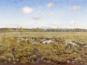 Landscape from Lapland by Torsten Wasastjerna Oil Painting