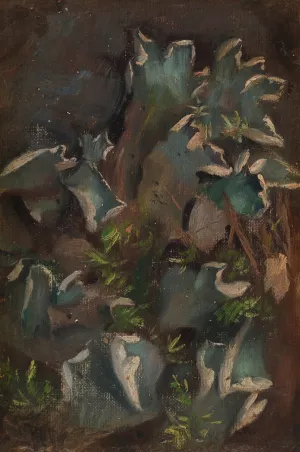 Lichen by Torsten Wasastjerna Oil Painting