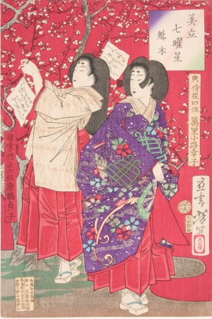 Wood for the Plum Tree by Tsukioka Yoshitoshi Oil Painting