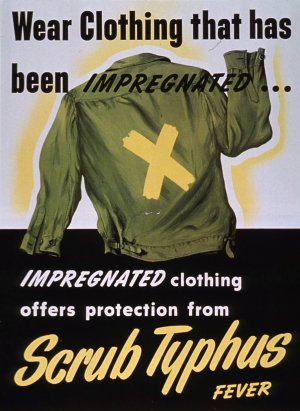 Scrub typhus fever by United States War Department Oil Painting