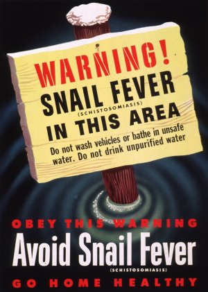 Warning-snail fever by United States War Department Oil Painting