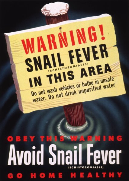 Warning-snail fever  by United States War Department - Hand-Painted Oil Painting Reproduction