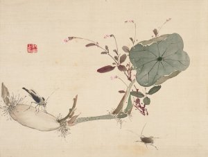 Studies from Nature; Plants, Fish, and Birds by Urakami Shunkin Oil Painting