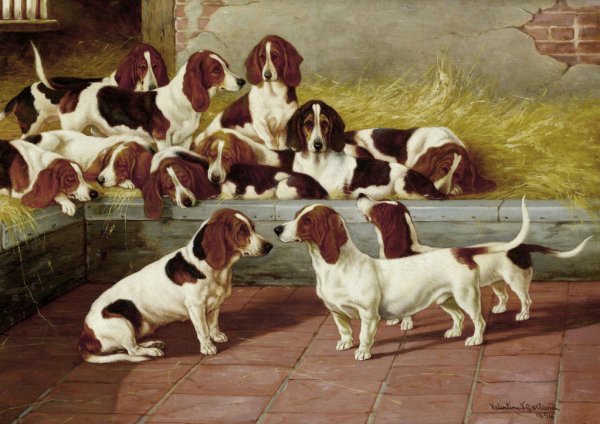 Main Product Photo of A Pack of Basset Hounds Painting by Valentine Thomas Garland