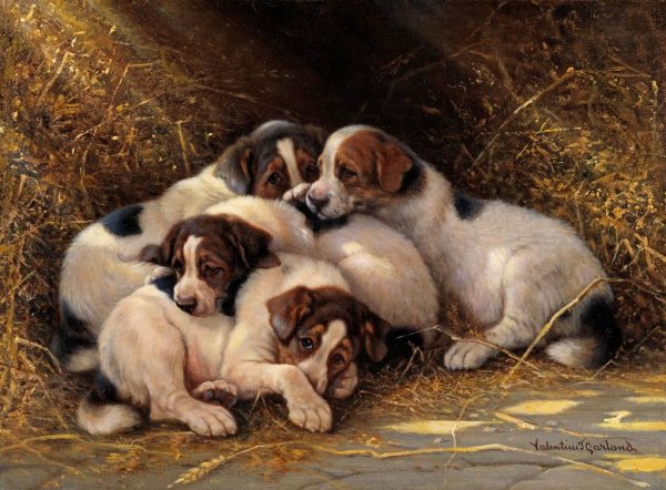 Four Puppies in a Haystack