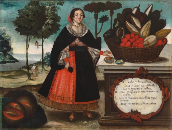 Indian Woman in Special Attire  by Vicente Alban - Hand-Painted Oil Painting Reproduction