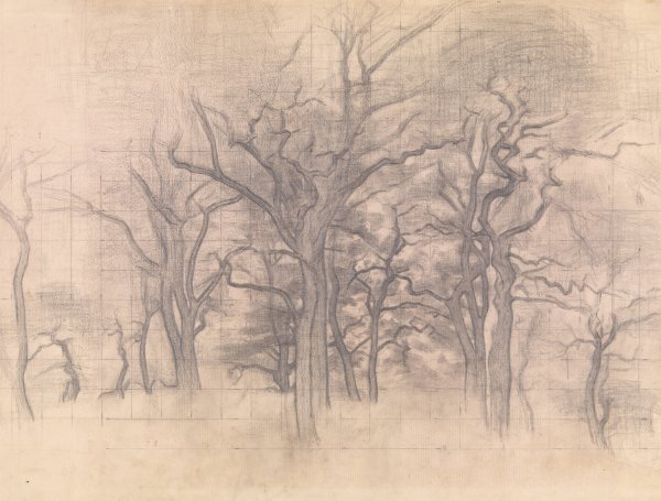 Main Product Photo of Oak Trees  Painting by Vilhelm Hammershoi