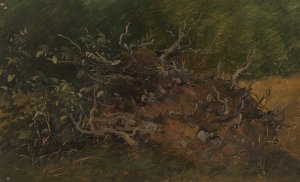 Study of a Tree Stump by Vilhelm Petersen Oil Painting