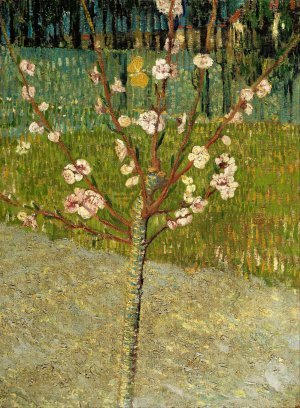 Almond tree in blossom by Vincent van Gogh Oil Painting