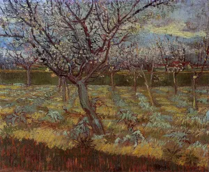 Apricot Tree in Bloom Oil painting by Vincent van Gogh