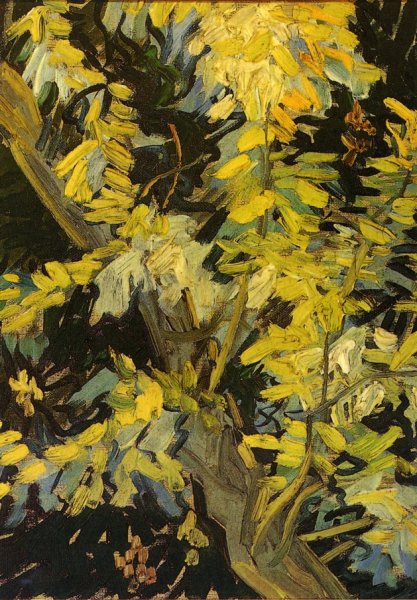 Main Product Photo of Blossoming Acacia Branches Painting by Vincent van Gogh