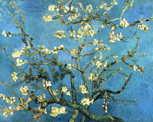 Branches with Almond Blossom