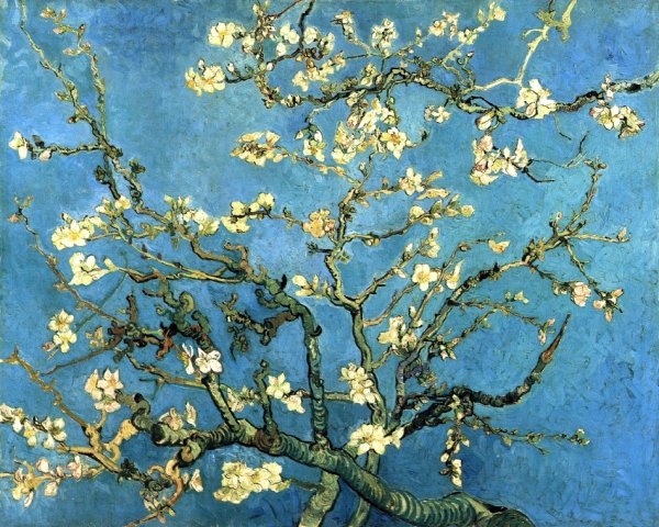Main Product Photo of Branches with Almond Blossom Painting by Vincent van Gogh