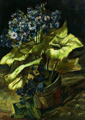 Cineraria Oil painting by Vincent van Gogh