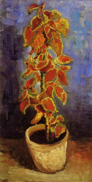 Coleus Plant in a Flower Pot by Vincent van Gogh - Hand-Painted Oil Painting Reproduction