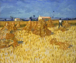 Corn Harvest in Provence by Vincent van Gogh Oil Painting