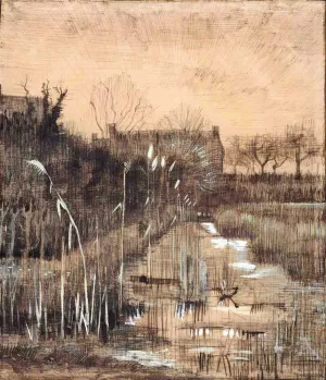 Ditch by Vincent van Gogh Oil Painting
