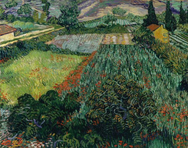 Field with Poppies  by Vincent van Gogh - Hand-Painted Oil Painting Reproduction