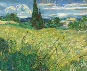 Green Field by Vincent van Gogh Oil Painting
