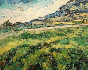 Green Wheat Field Oil painting by Vincent van Gogh