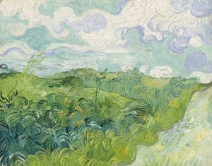 Green Wheat Fields, Auvers by Vincent van Gogh Oil Painting