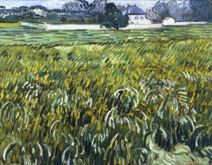 House at Auvers by Vincent van Gogh Oil Painting