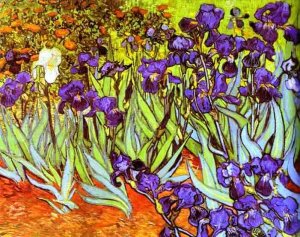 Irises 1889