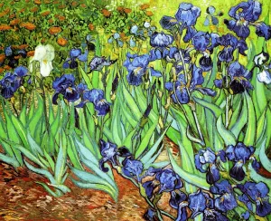 Irises II Oil Painting by Vincent Van Gogh - Best Seller