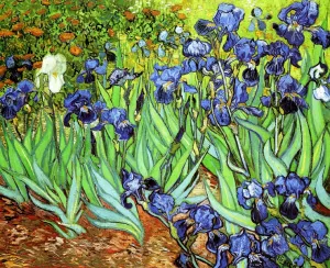 Irises II Oil painting by Vincent van Gogh