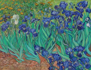 Irises by Vincent van Gogh Oil Painting