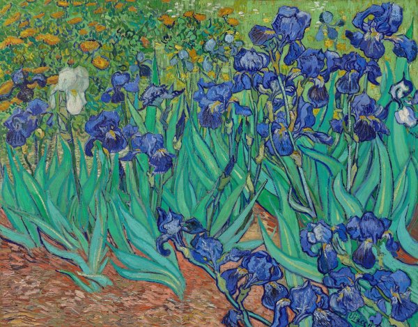 Irises  by Vincent van Gogh - Hand-Painted Oil Painting Reproduction