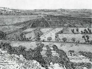 La Crau Seen from Montmajour painting by Vincent van Gogh