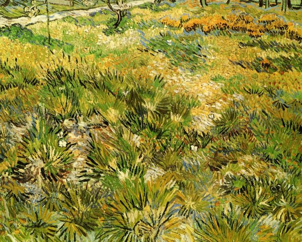 Main Product Photo of Meadow in the Garden of Saint-Paul Hospital Painting by Vincent van Gogh