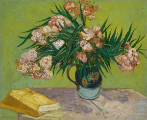 Oleanders by Vincent van Gogh Oil Painting