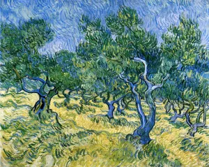 Olive Grove Oil painting by Vincent van Gogh
