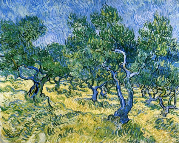Main Product Photo of Olive Grove Painting by Vincent van Gogh