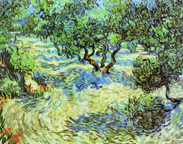 Main Product Photo of Olive Grove: Bright Blue Sky Painting by Vincent van Gogh