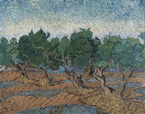 Olive Grove by Vincent van Gogh Oil Painting