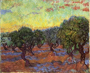 Olive Grove: Orange Sky by Vincent van Gogh Oil Painting