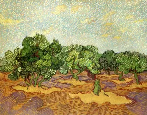 Olive Grove: Pale Blue Sky by Vincent van Gogh - Oil Painting Reproduction
