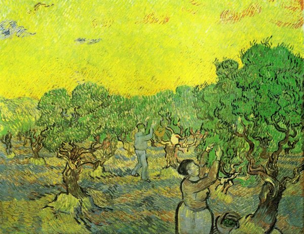 Main Product Photo of Olive Grove with Picking Figures Painting by Vincent van Gogh
