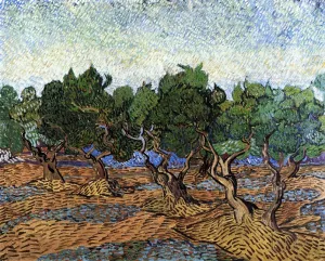 Olive Grove by Vincent van Gogh - Oil Painting Reproduction